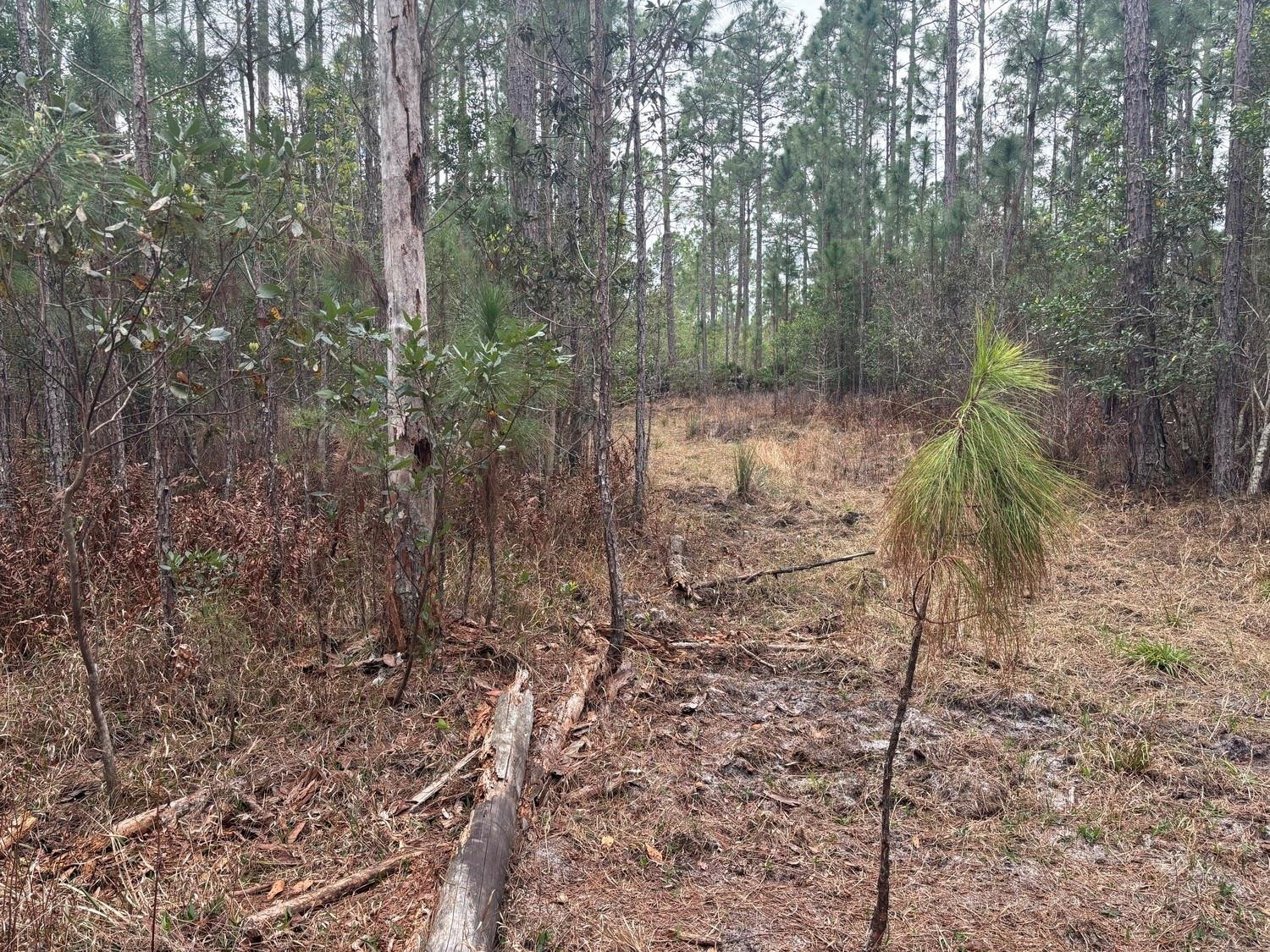 F10556330 Property Photo 2