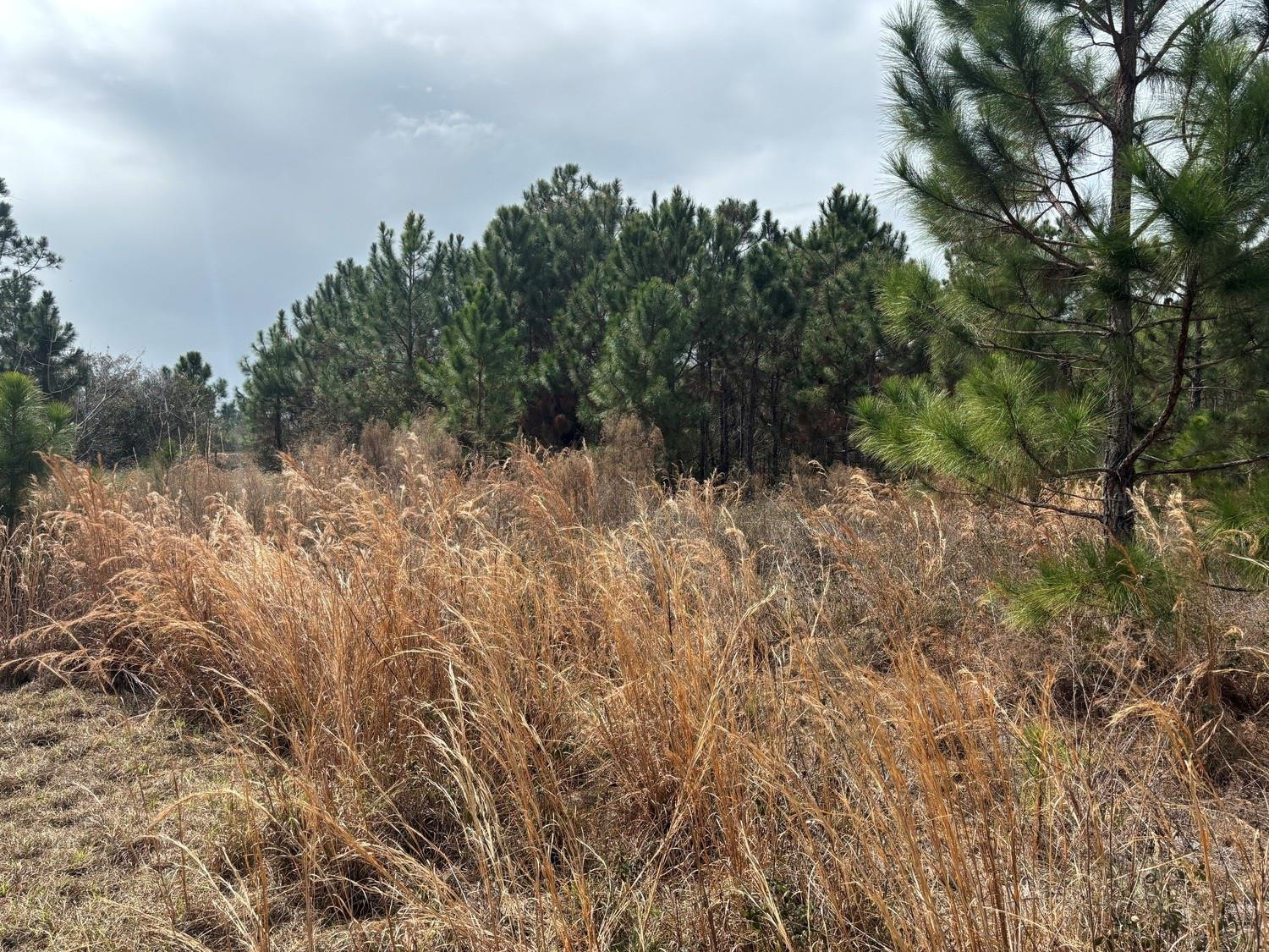 0 Old Grade Road Property Photo 2