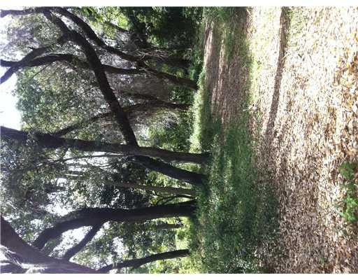F1175856 Property Photo 2