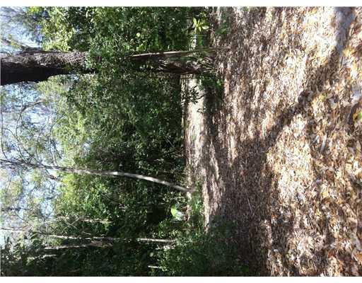 F1175856 Property Photo 3