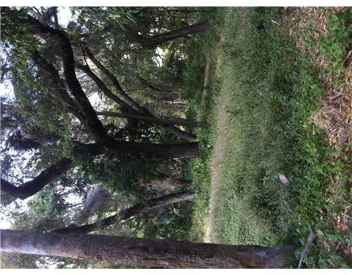 F1175856 Property Photo 5