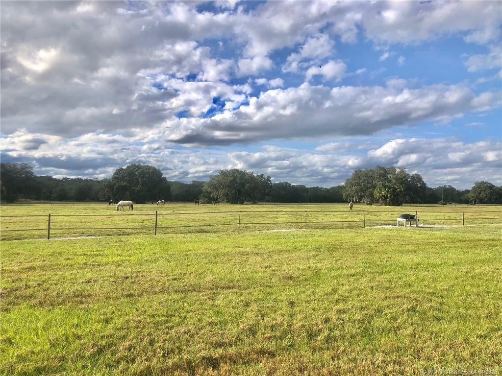 32801 Hwy 441 N Property Photo 13