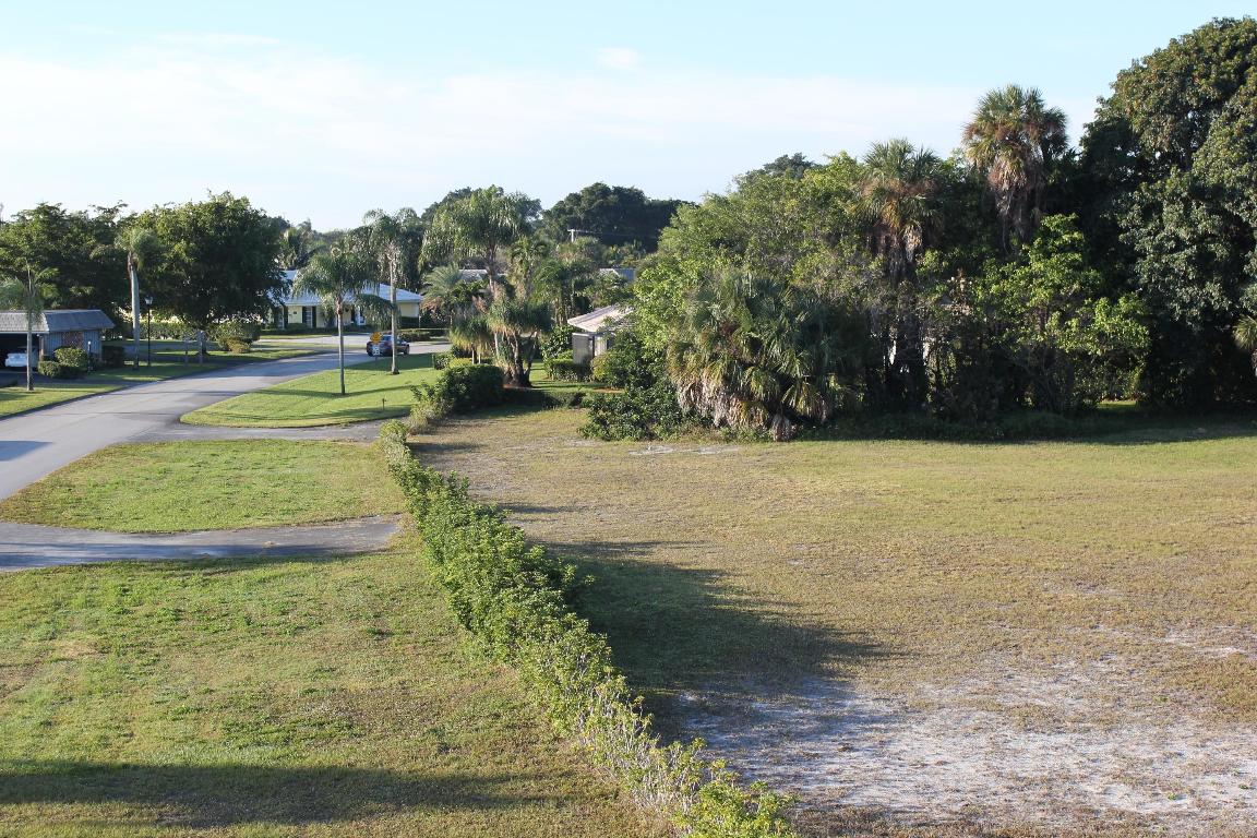331 Orange Tree Drive Property Photo 5
