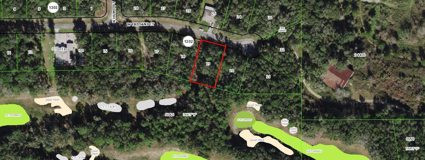 78 W Eridani Court Property Photo 1