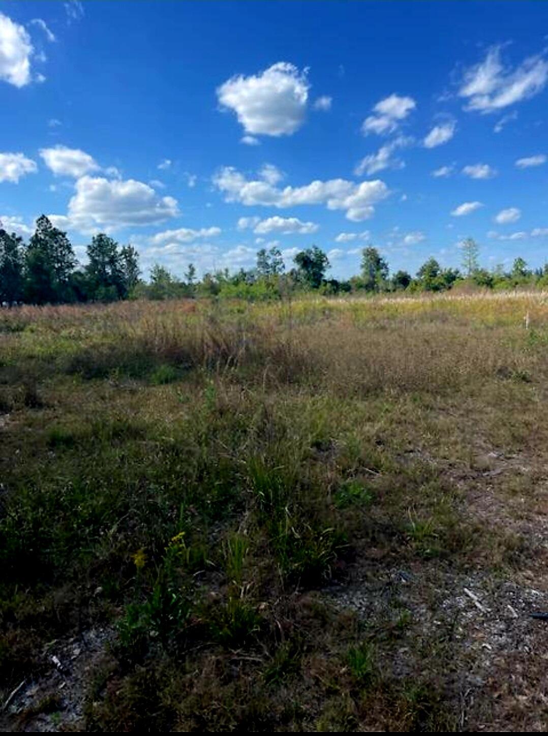 1108306 Oil Well Road Property Photo 1