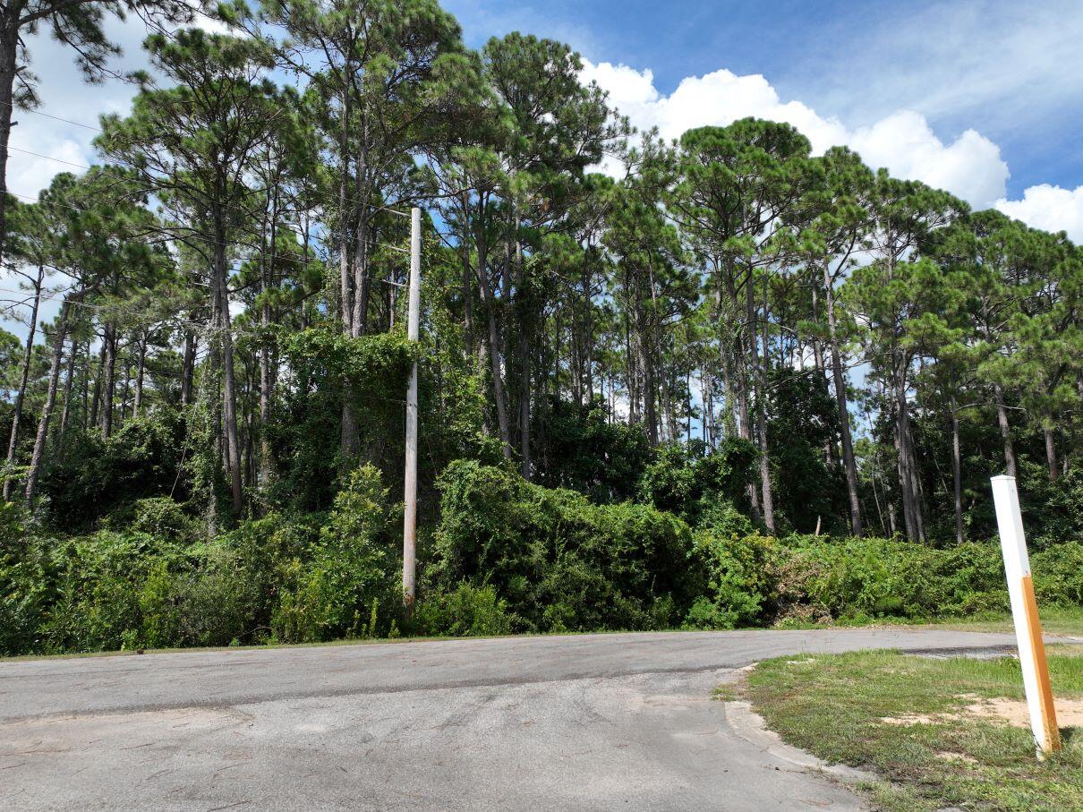 Lot 61 Timber Lane Property Photo