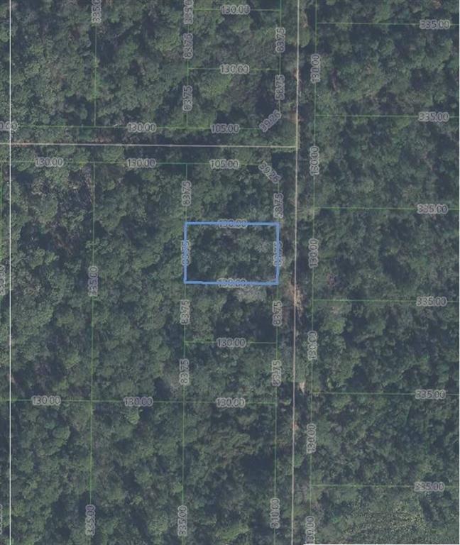 4907 Oak Road Property Photo 4