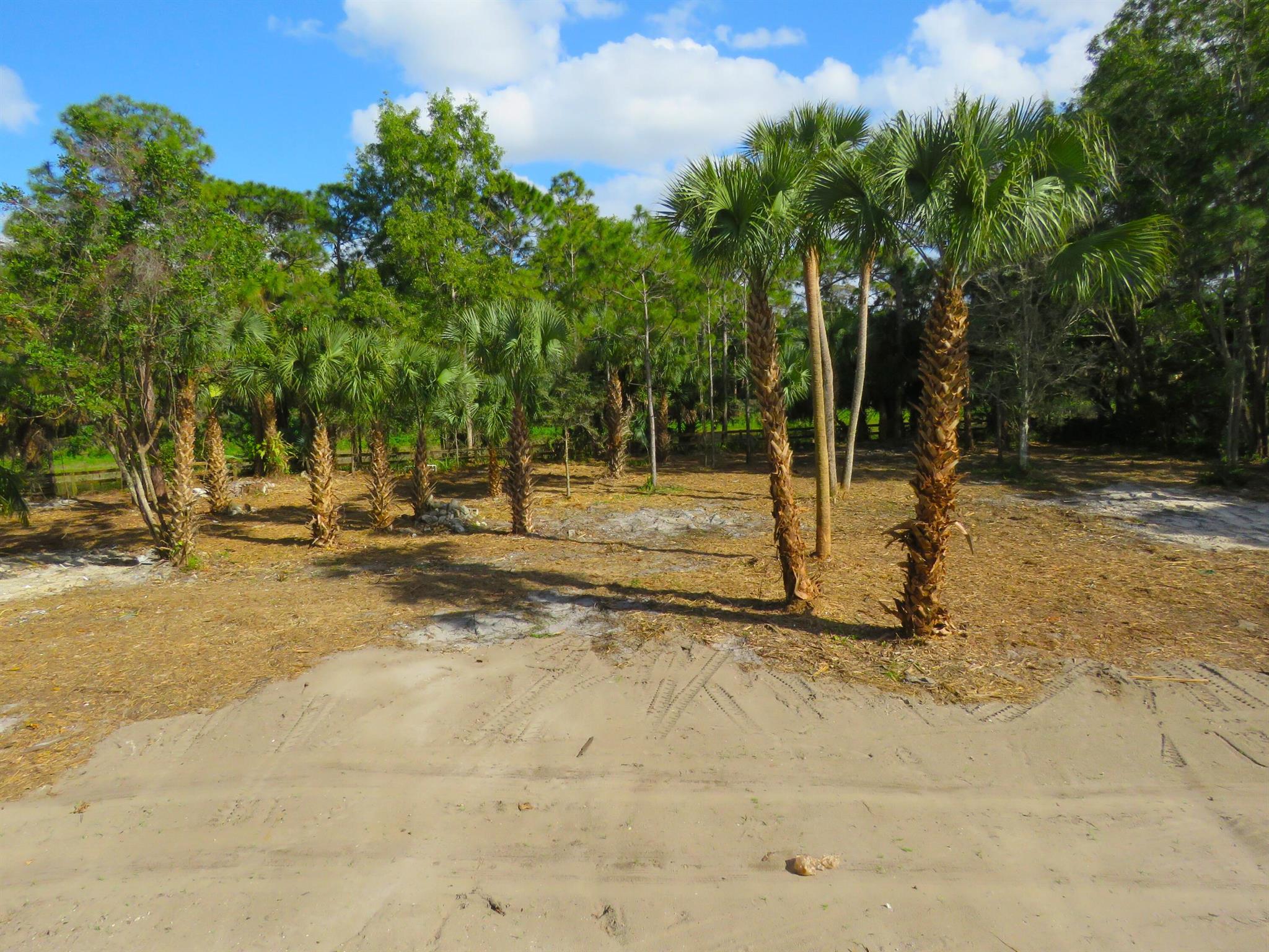 1464 Gallop Drive Property Photo 15