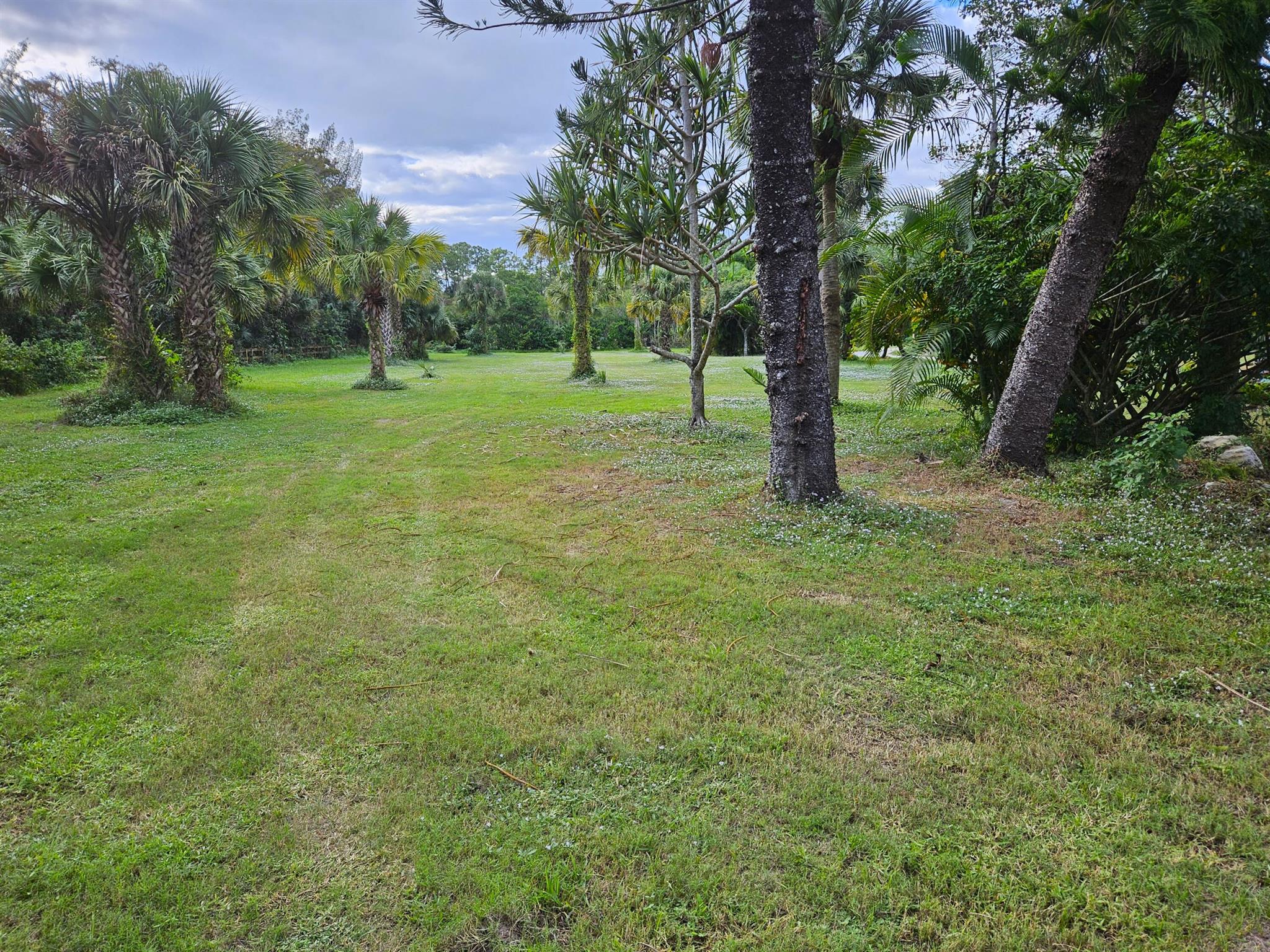 1464 Gallop Drive Property Photo 31