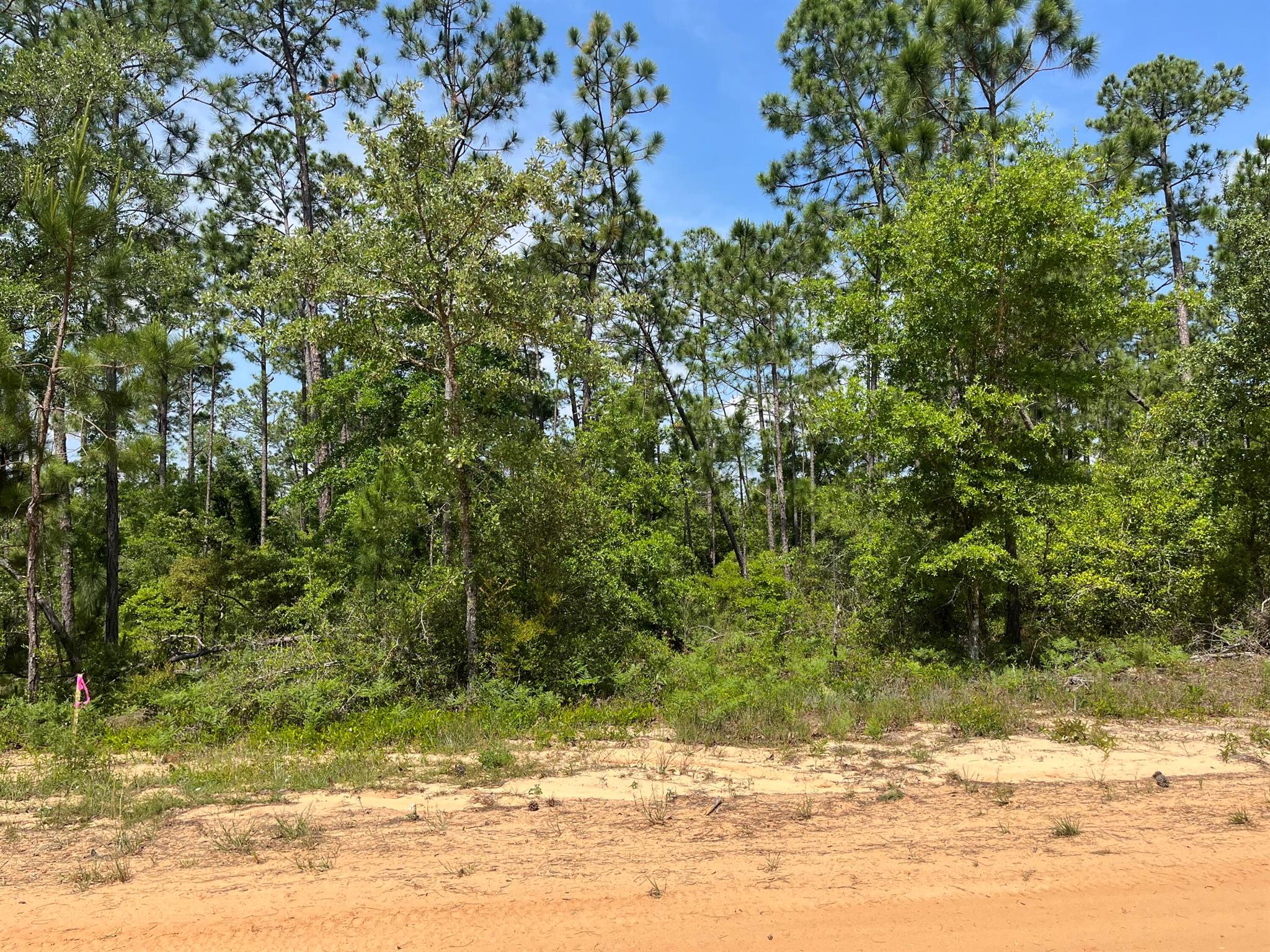 0 Holly Springs Avenue