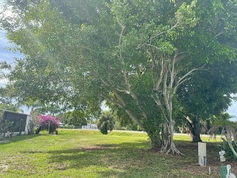 463 Egret Circle Property Photo 1
