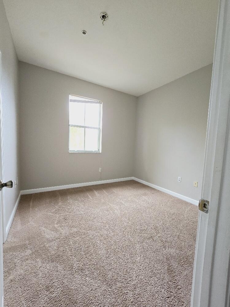 3803 Shoma Drive Property Photo 8