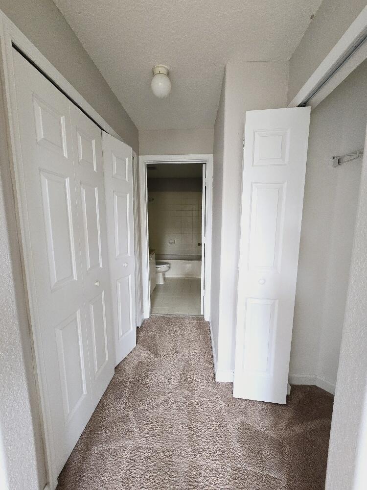 3803 Shoma Drive Property Photo 11