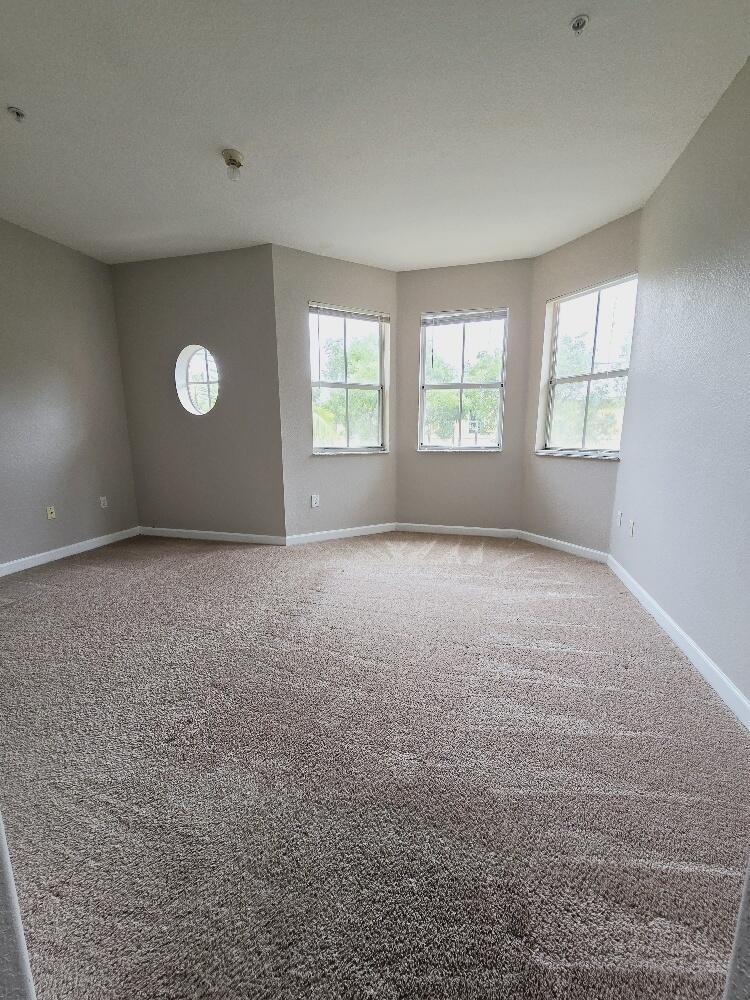 3803 Shoma Drive Property Photo 13
