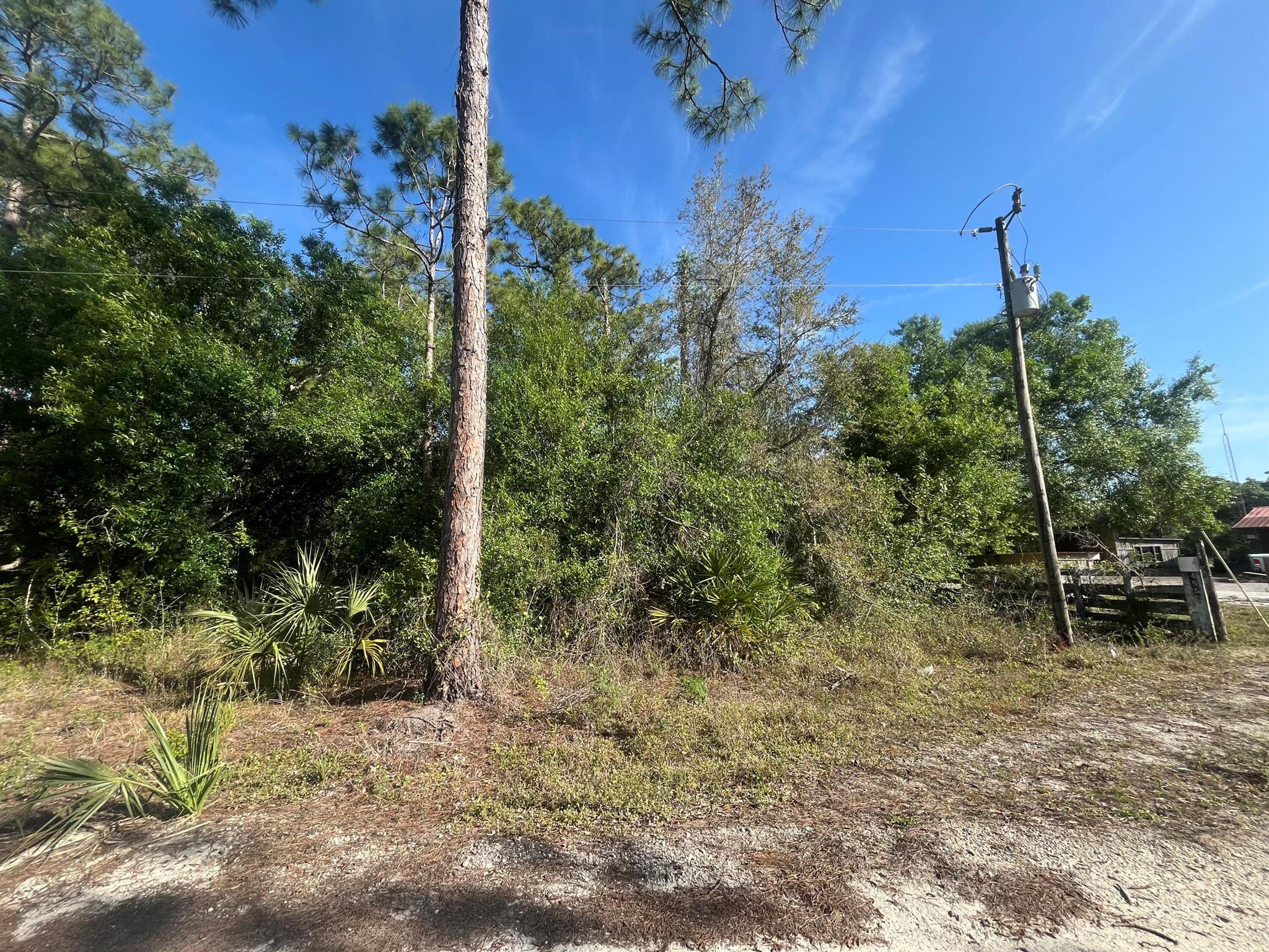 495 Wildwood Avenue Property Photo