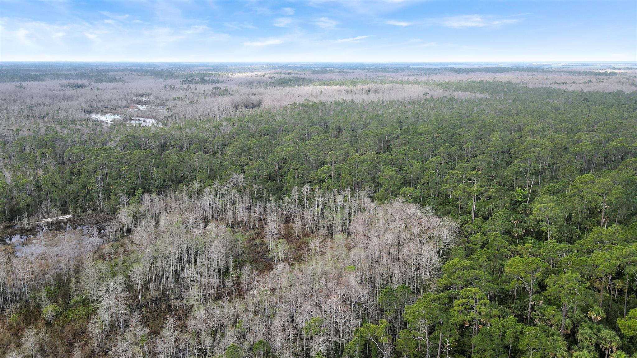 Indiantown Real Estate Listings Main Image