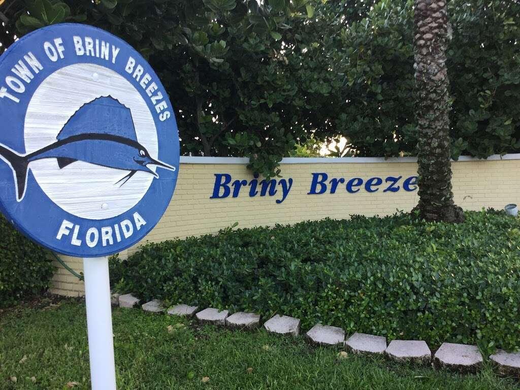 Briny Breezes Real Estate Listings Main Image