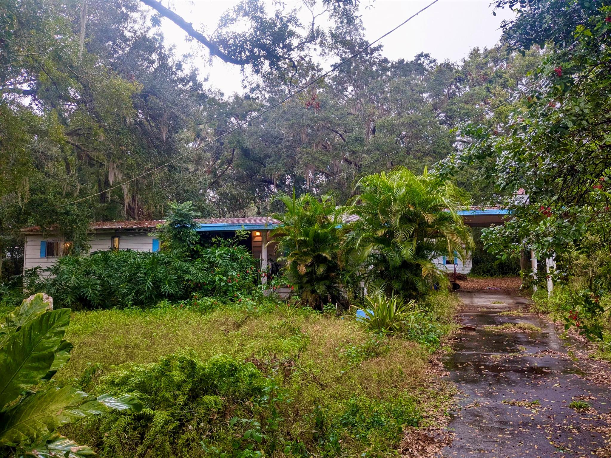 3310 Old Dixie Highway Property Photo