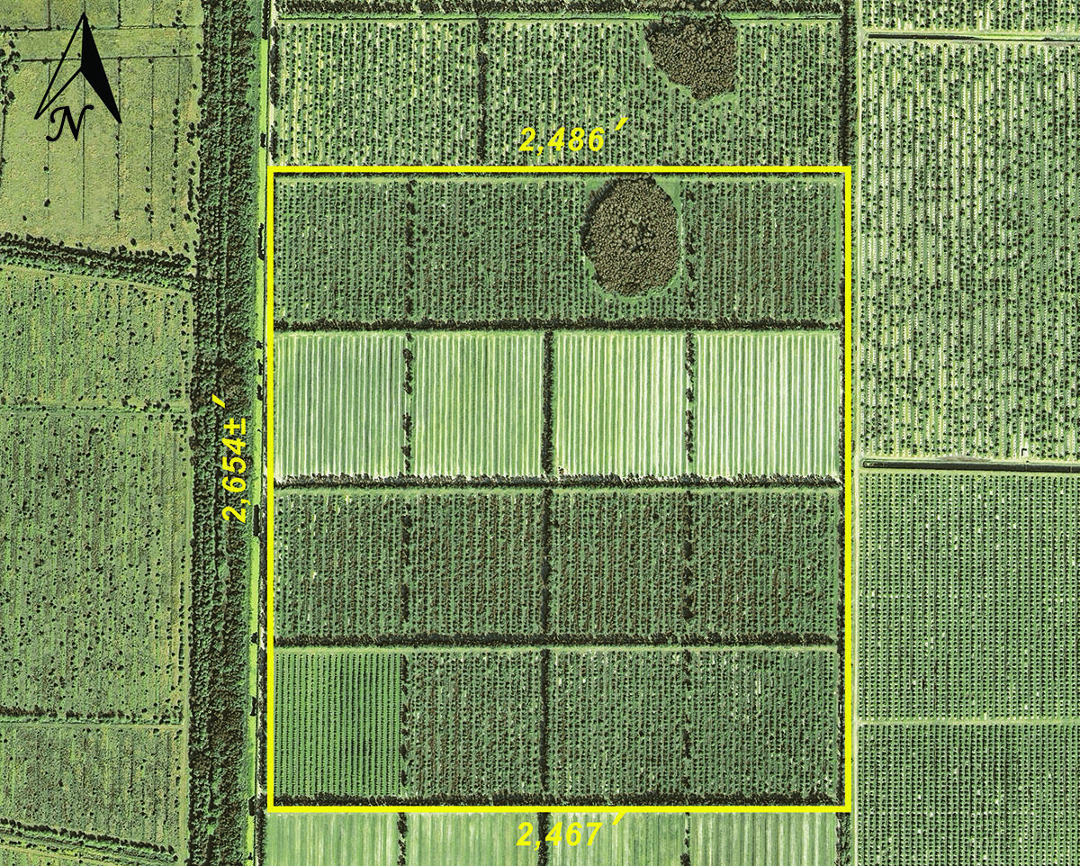Tbd Orange Avenue Extension Property Photo 1