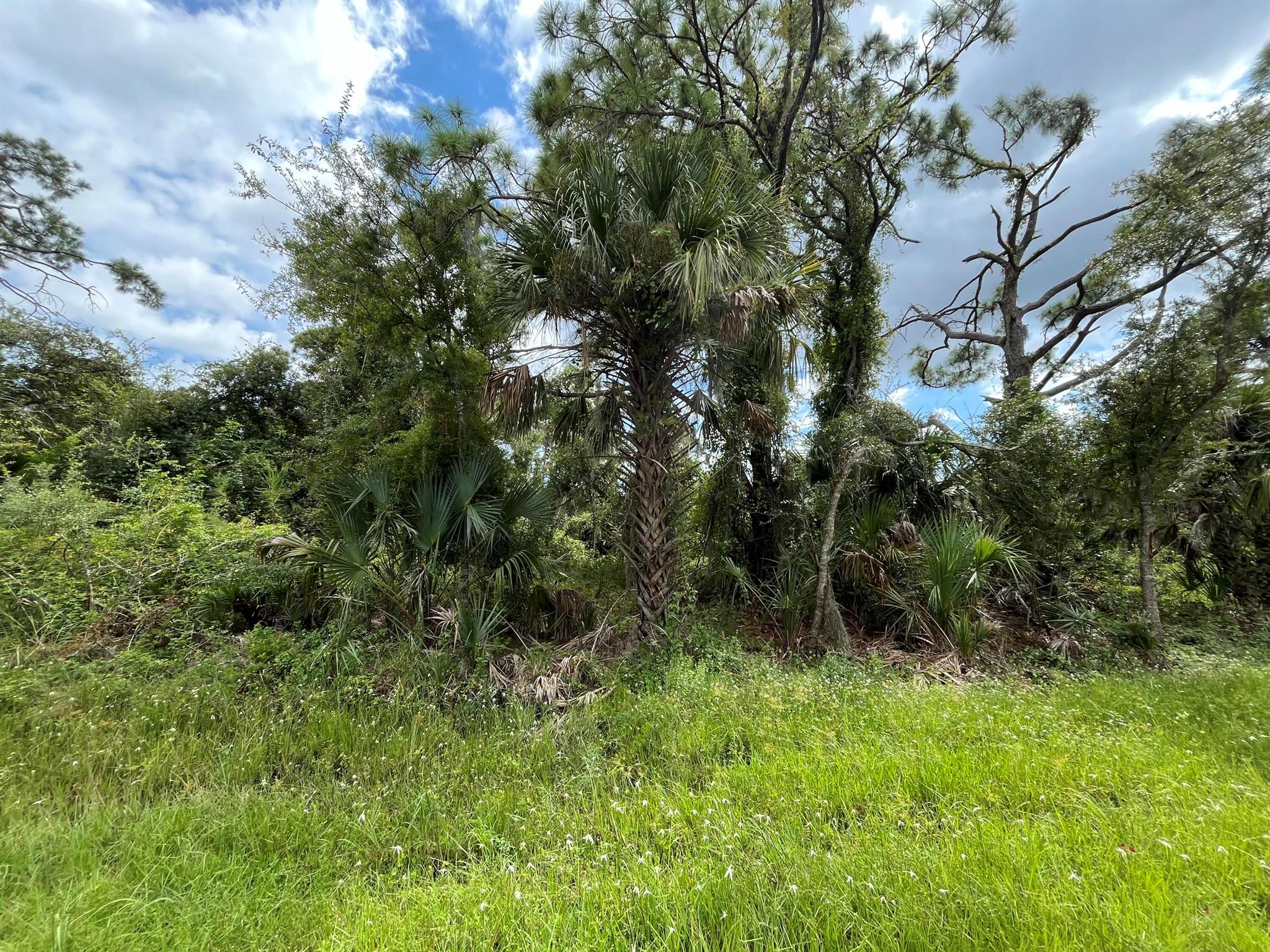 15501 Whitehall Avenue Property Photo 1