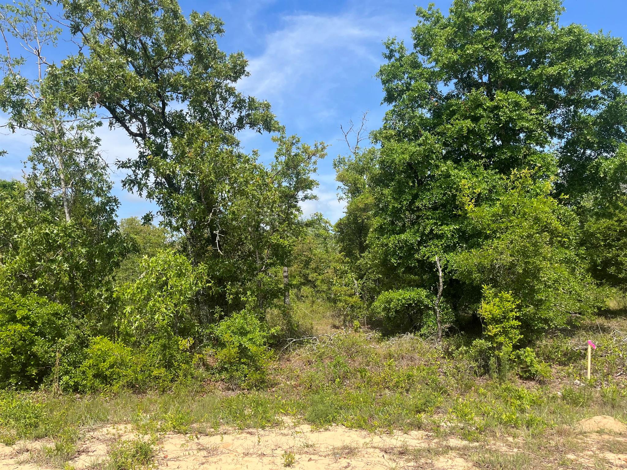 Tbd Rome Avenue Property Photo 1