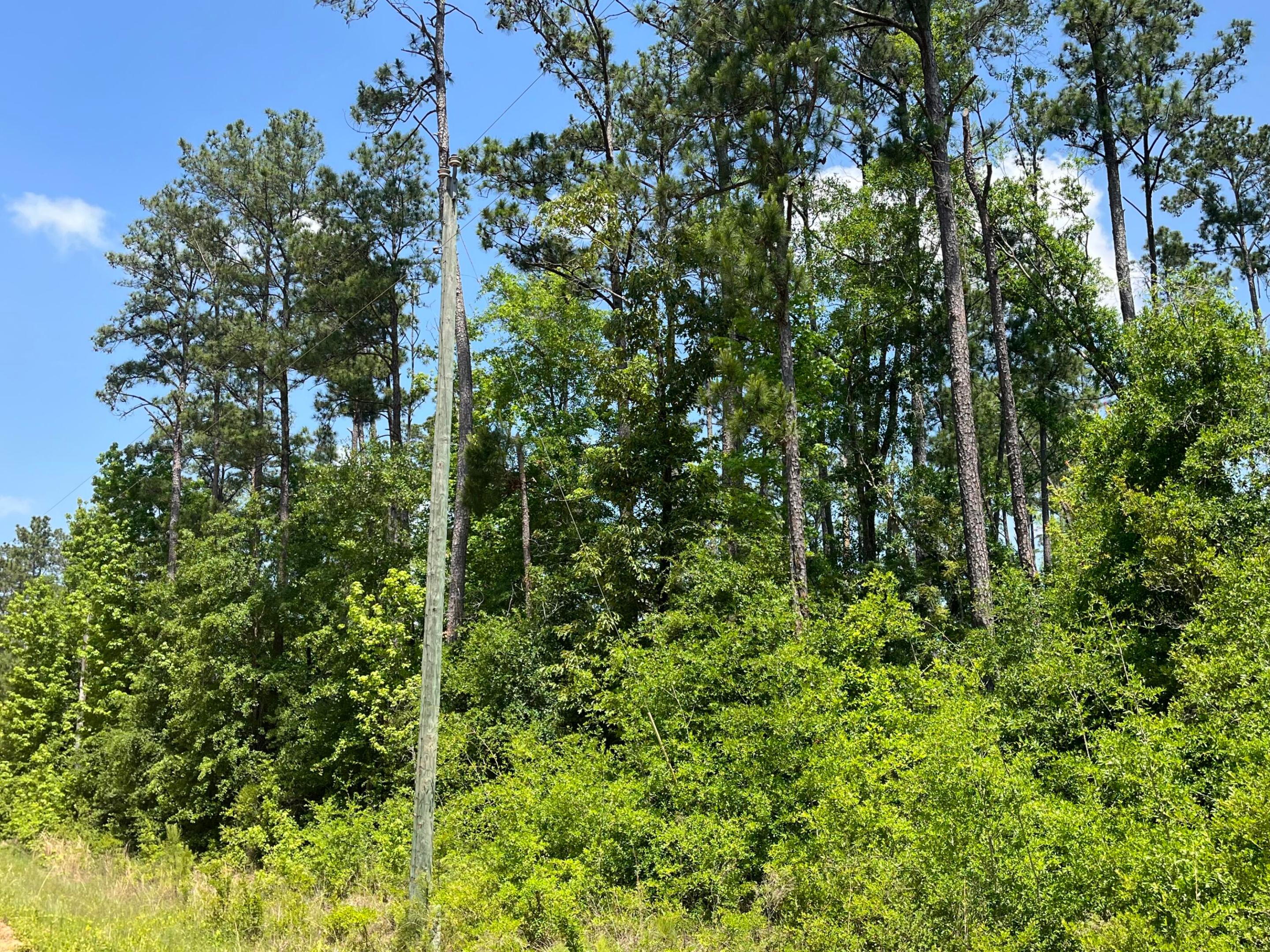 Tbd Grand Quiviera Circle Property Photo 4