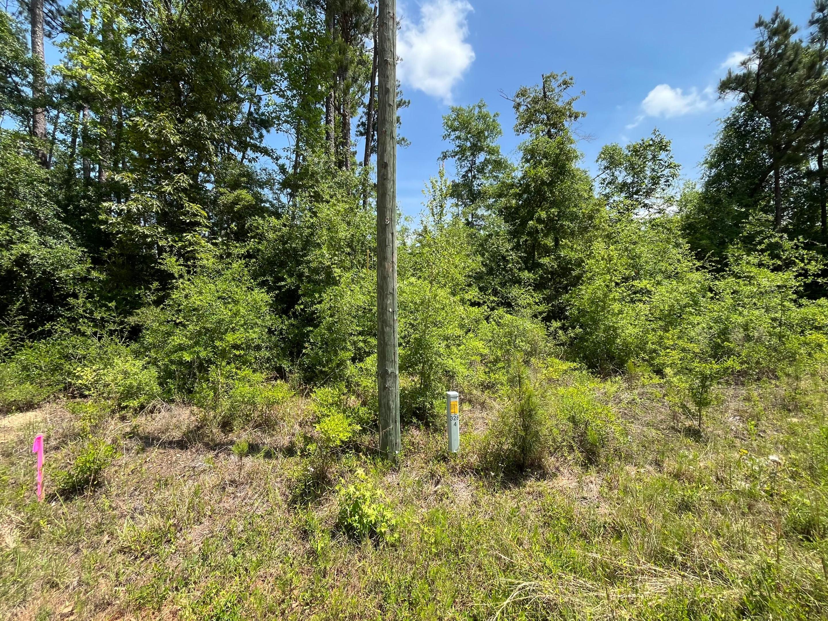 Tbd Grand Quiviera Circle Property Photo 7