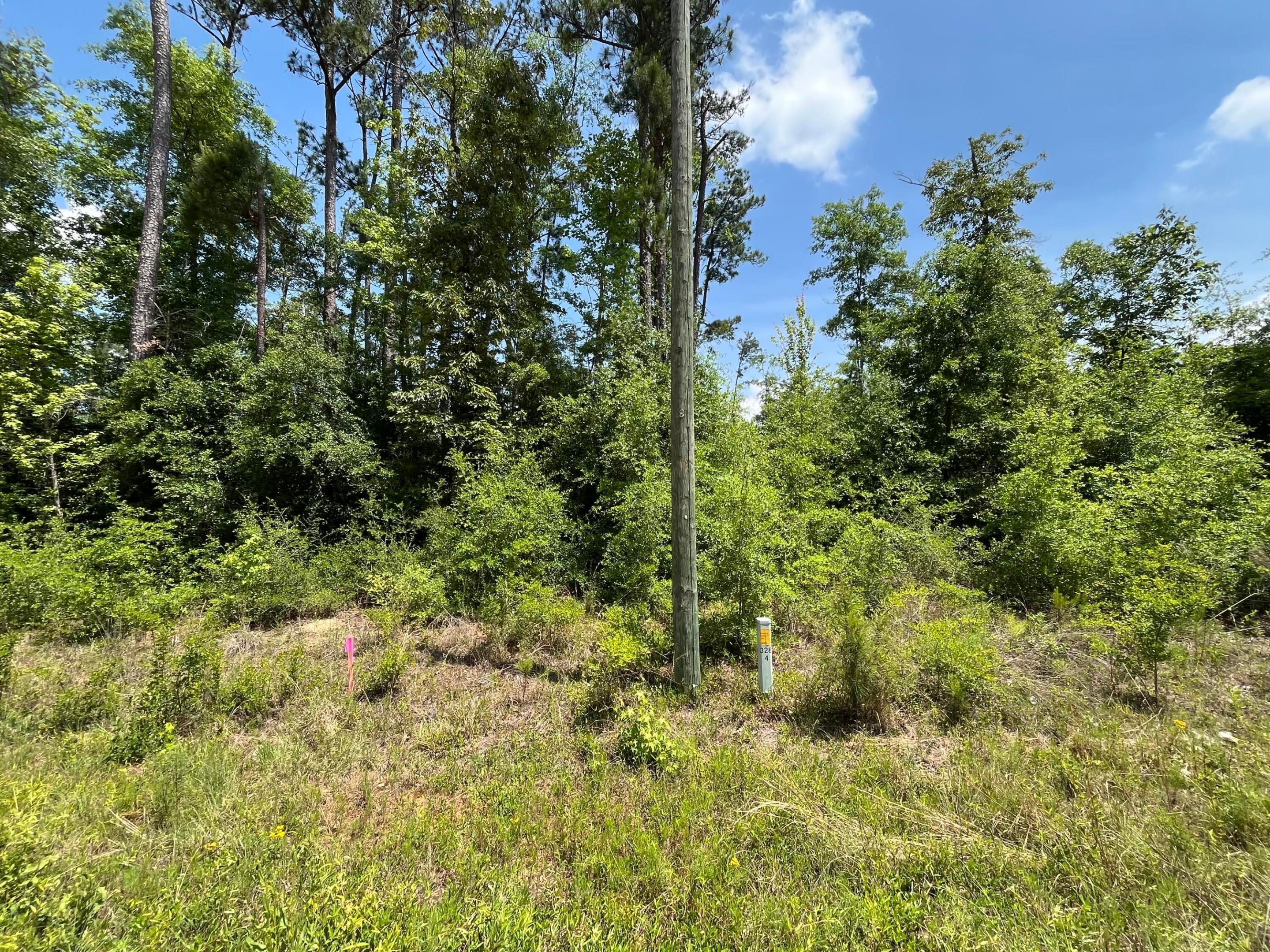 Tbd Grand Quiviera Circle Property Photo 8