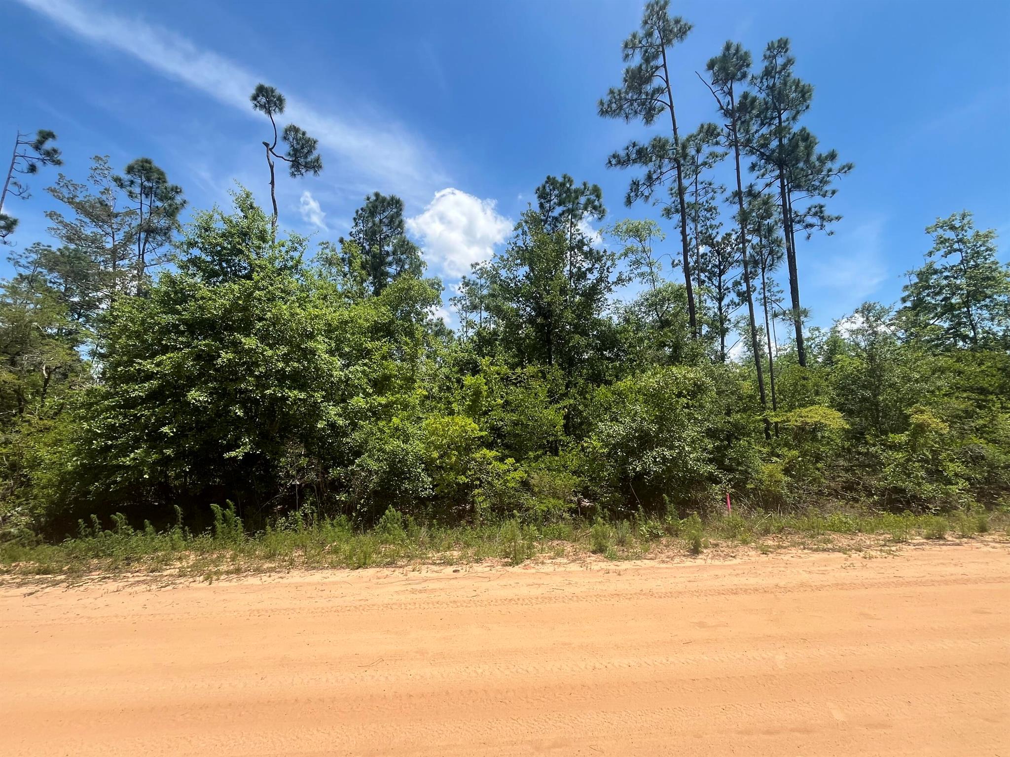 Tbd Tamarac Road Property Photo 1