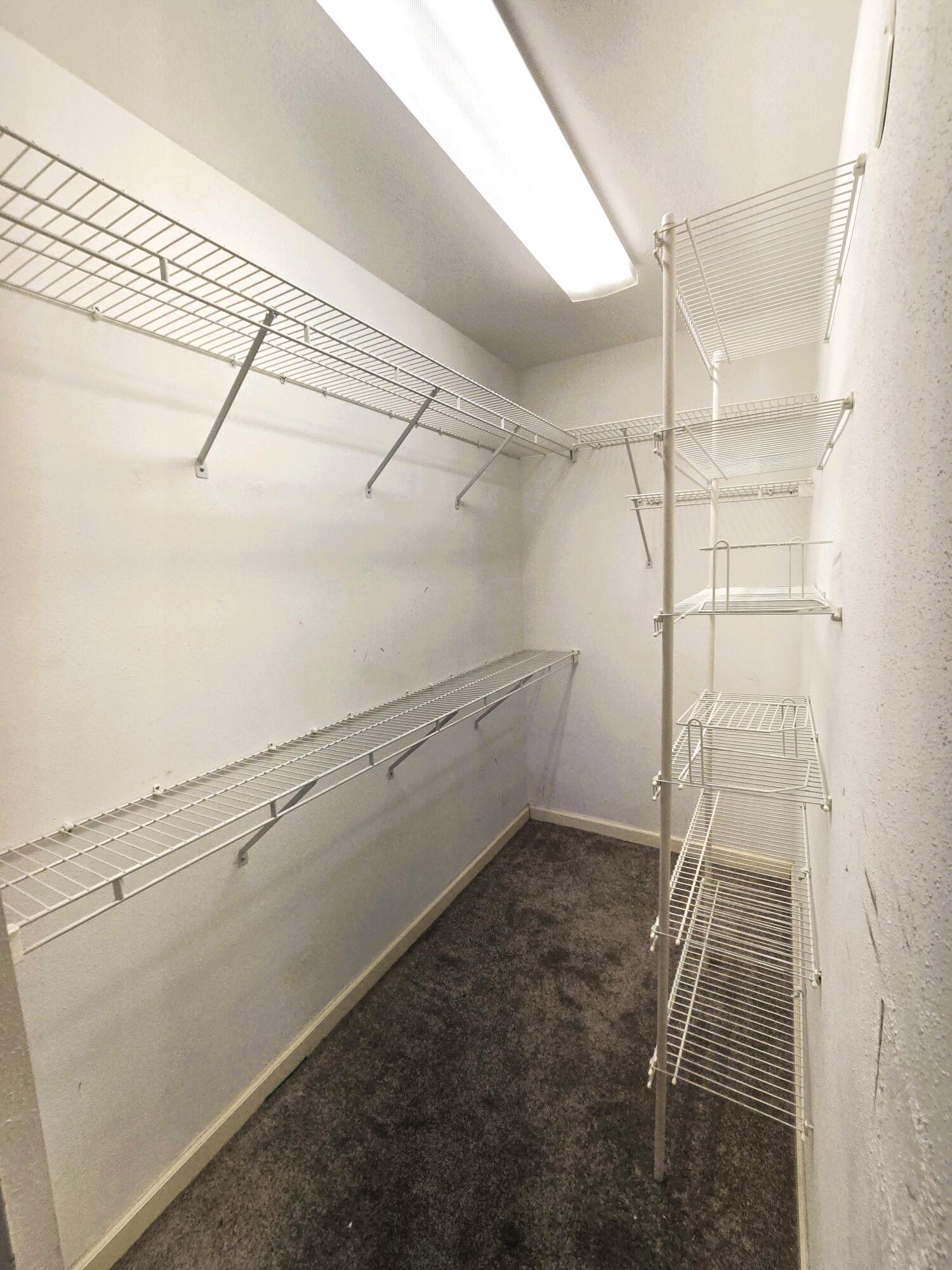89 Saxony B B Property Photo 16