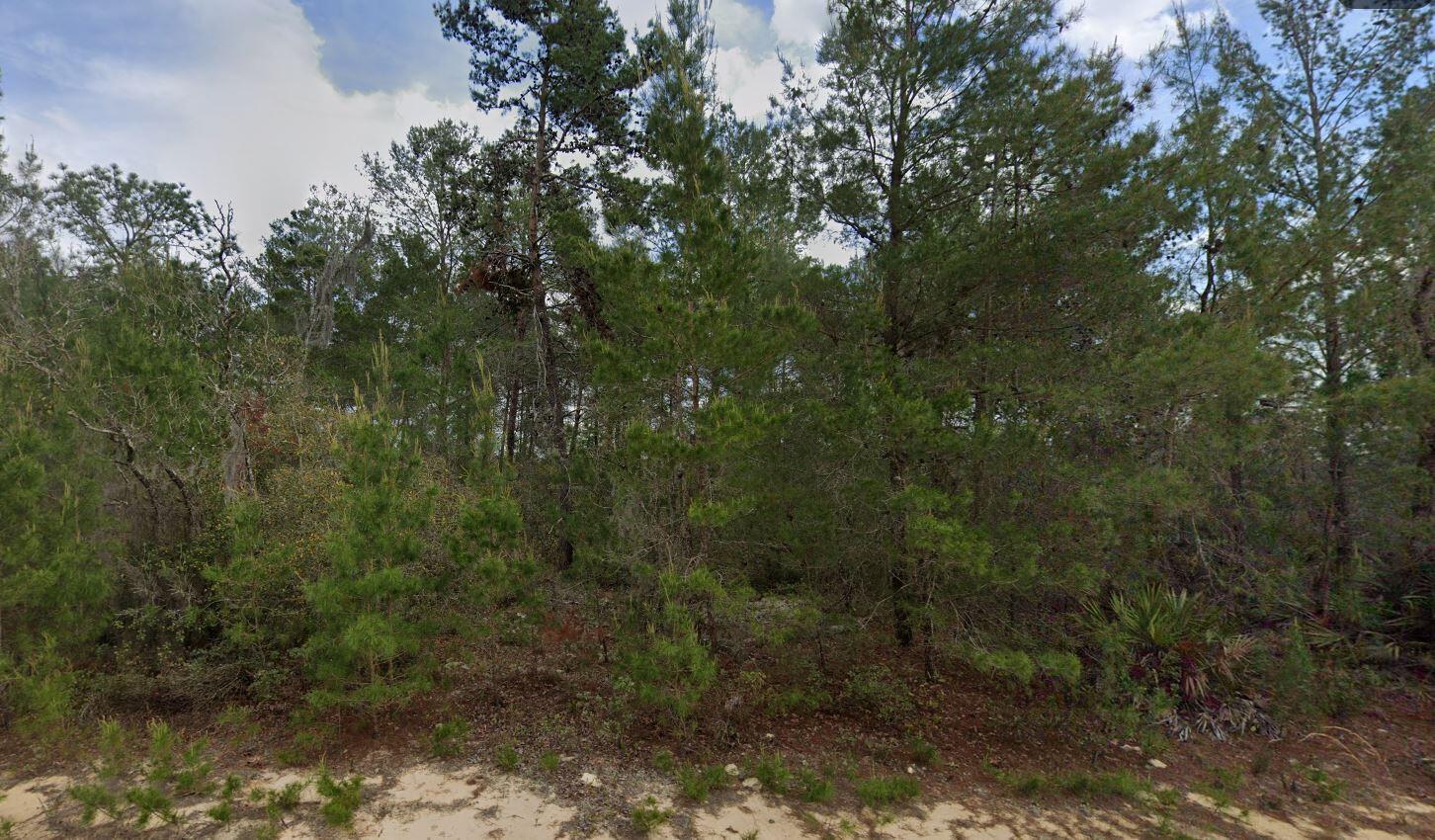 214 Neilsen Avenue Property Photo 1