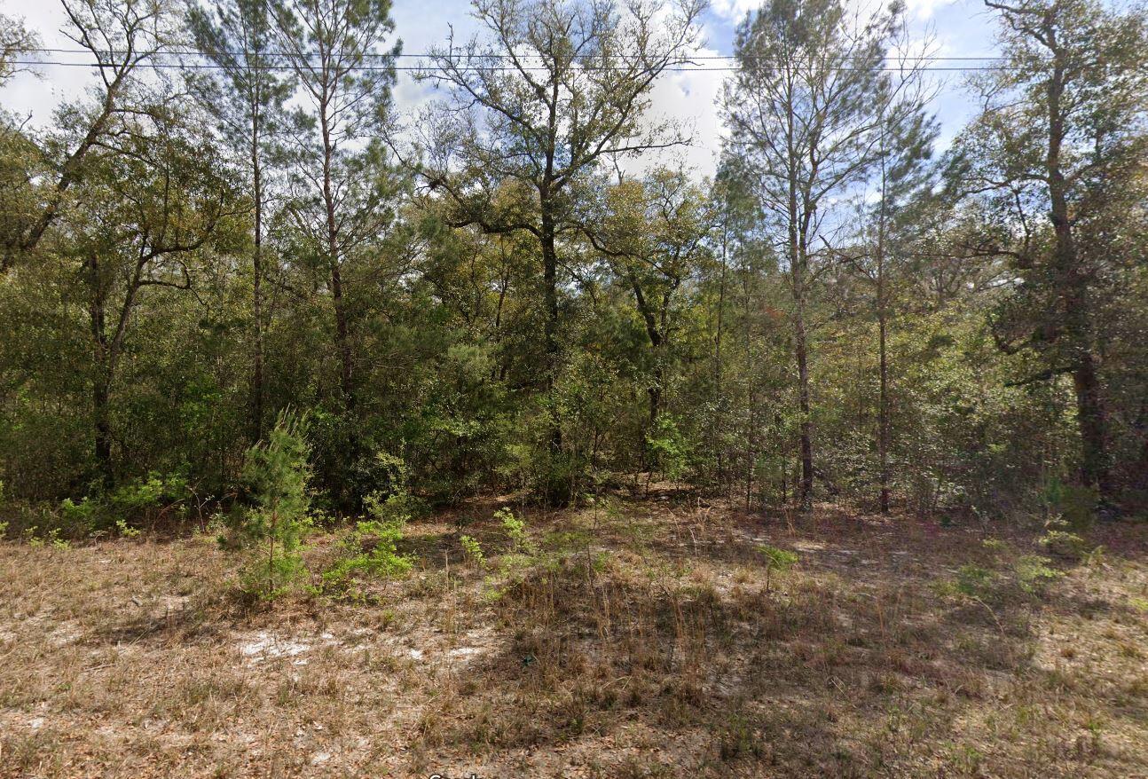 932 Gloria Avenue Property Photo 1