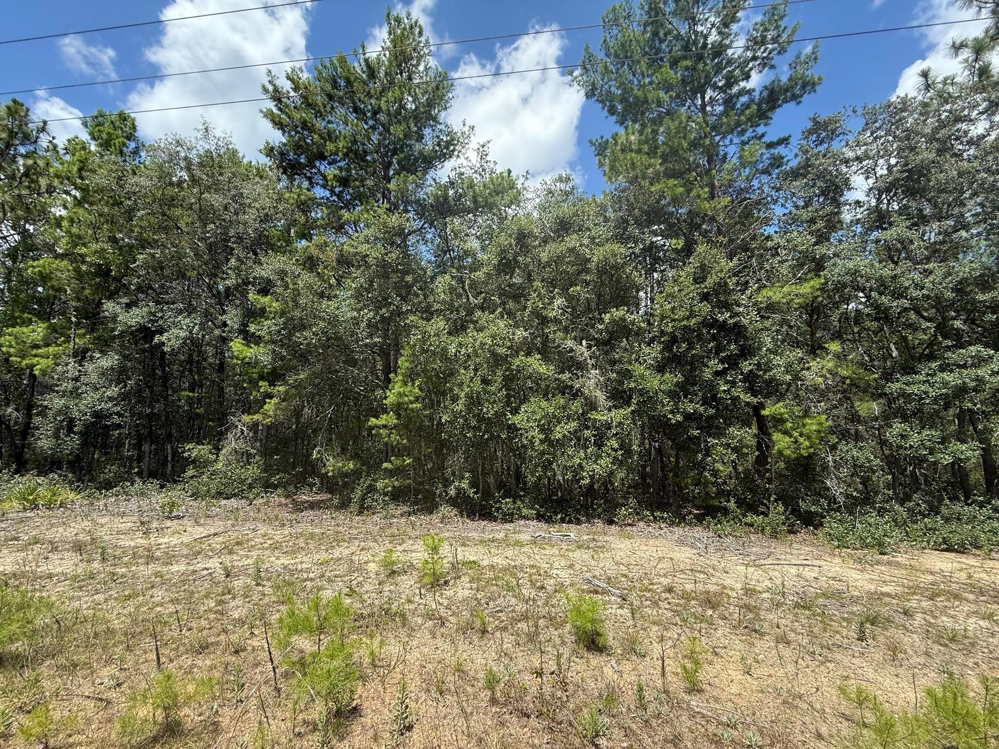 316 Usina Avenue Property Photo 1