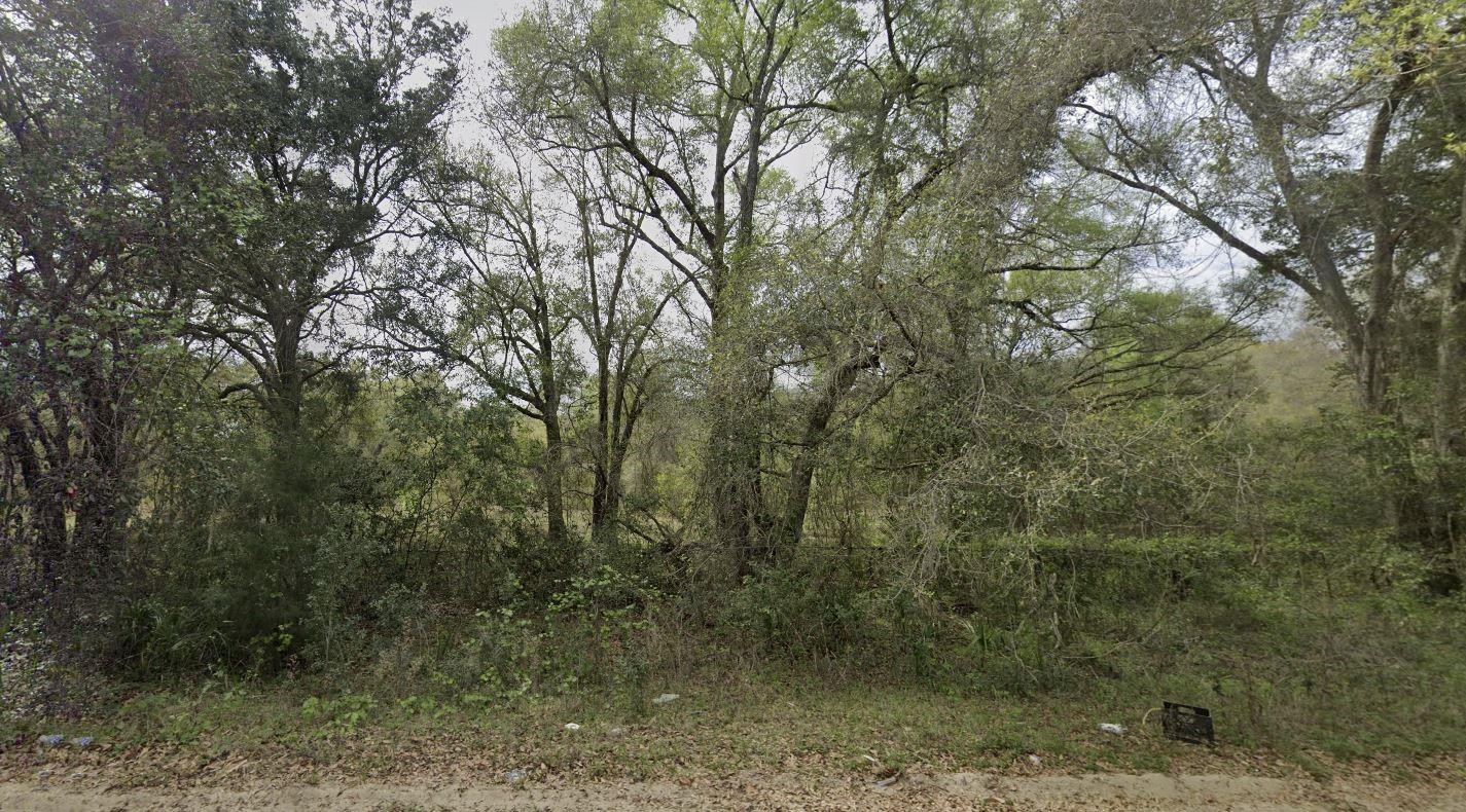 305 Milton Avenue Property Photo 1