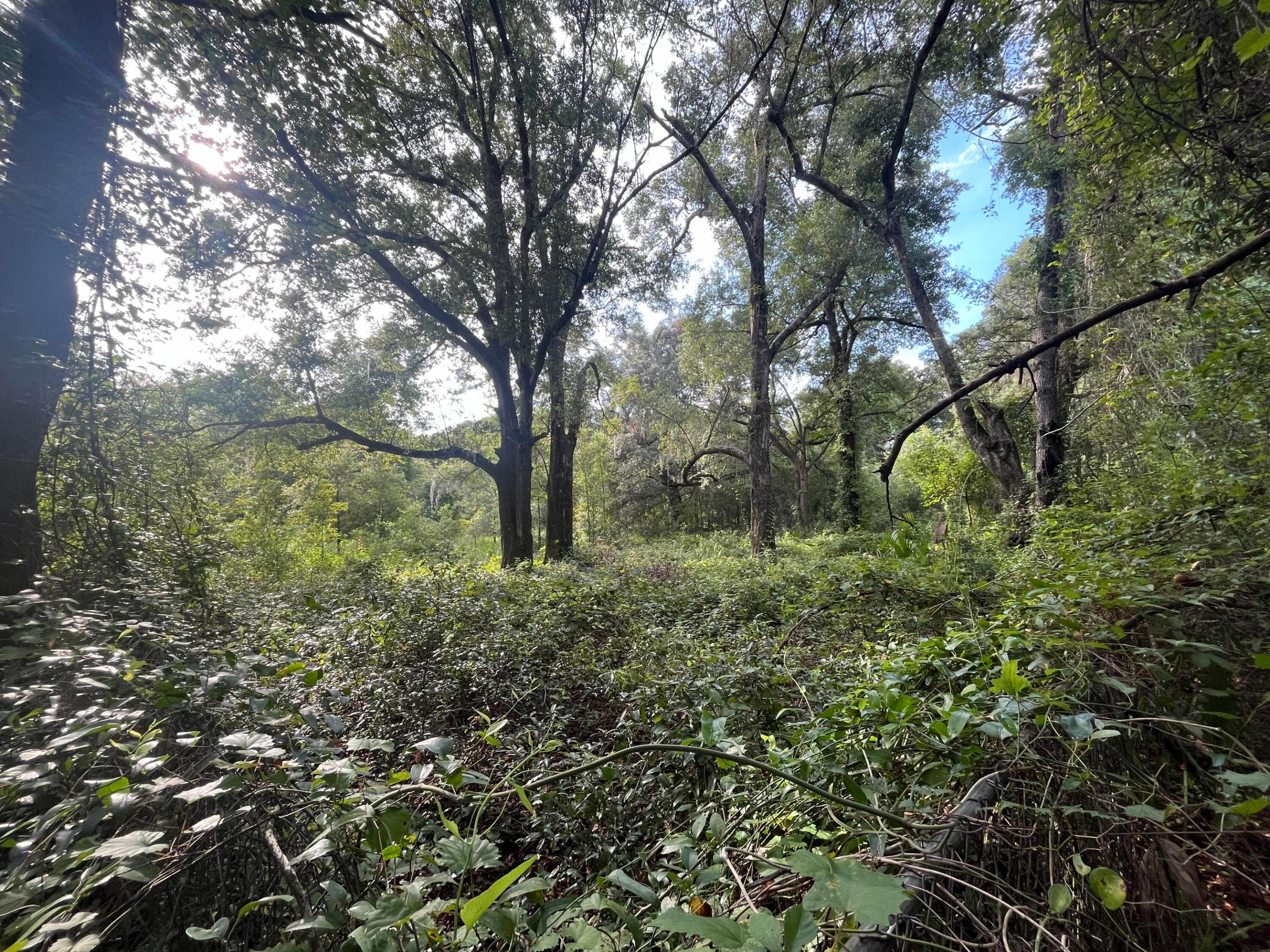 305 Milton Avenue Property Photo 2