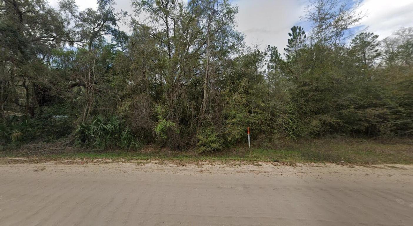 915 Annette Avenue Property Photo 3