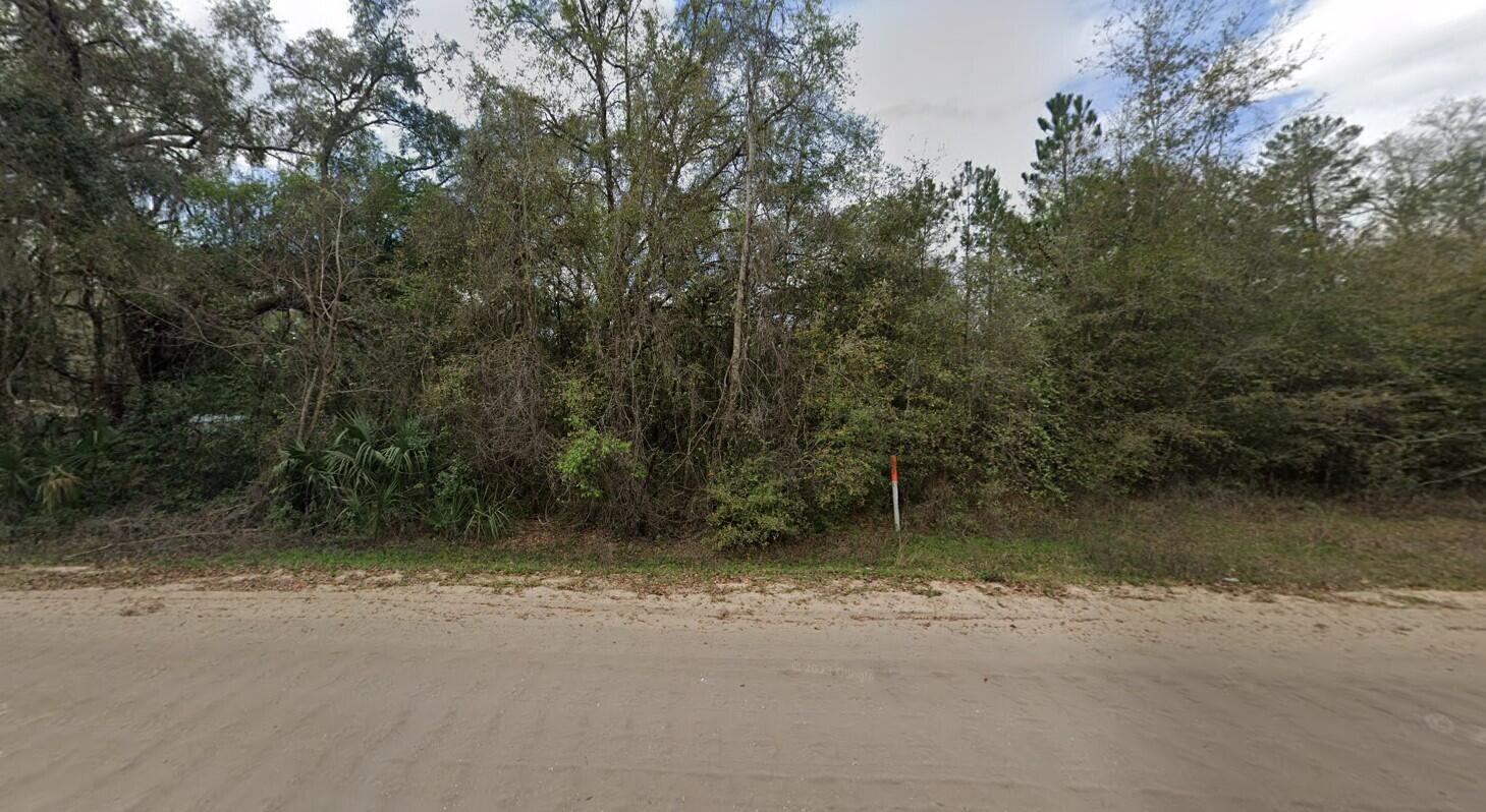915 Annette Avenue Property Photo 4