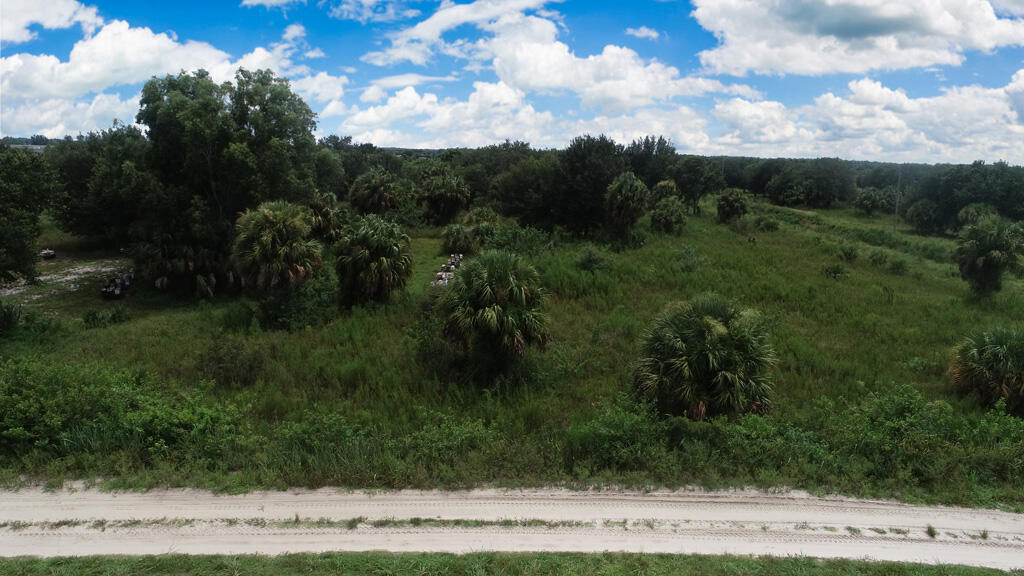 Lot-1880 Louise Street Property Photo 1