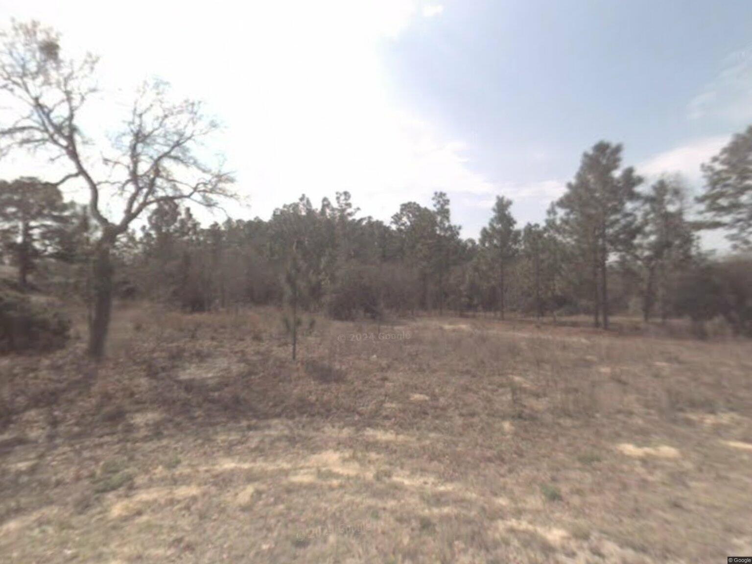 6632 N Sand Drive Property Photo 1