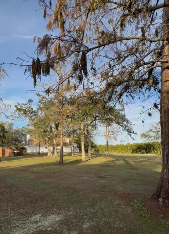 16098 Deer Path Lane Property Photo 17