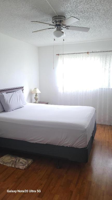 8060 N Sunrise Lakes Drive # 305 Property Photo 6