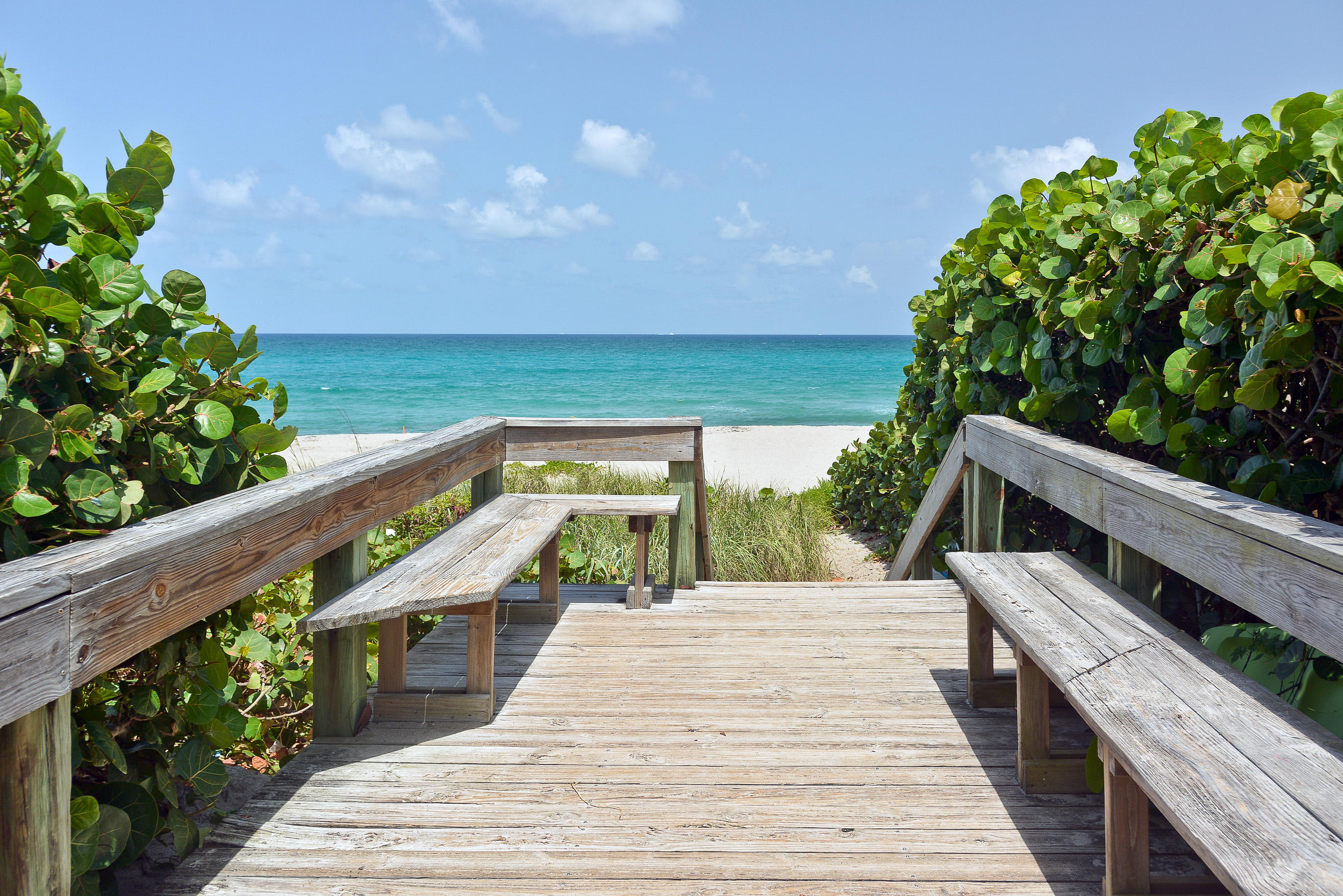 50 Celestial Way 8e Property Photo 4