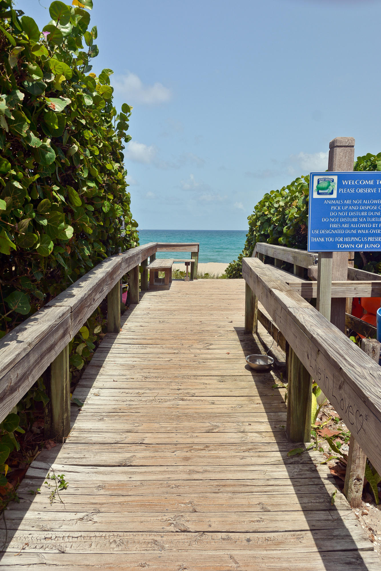 50 Celestial Way 8e Property Photo 46