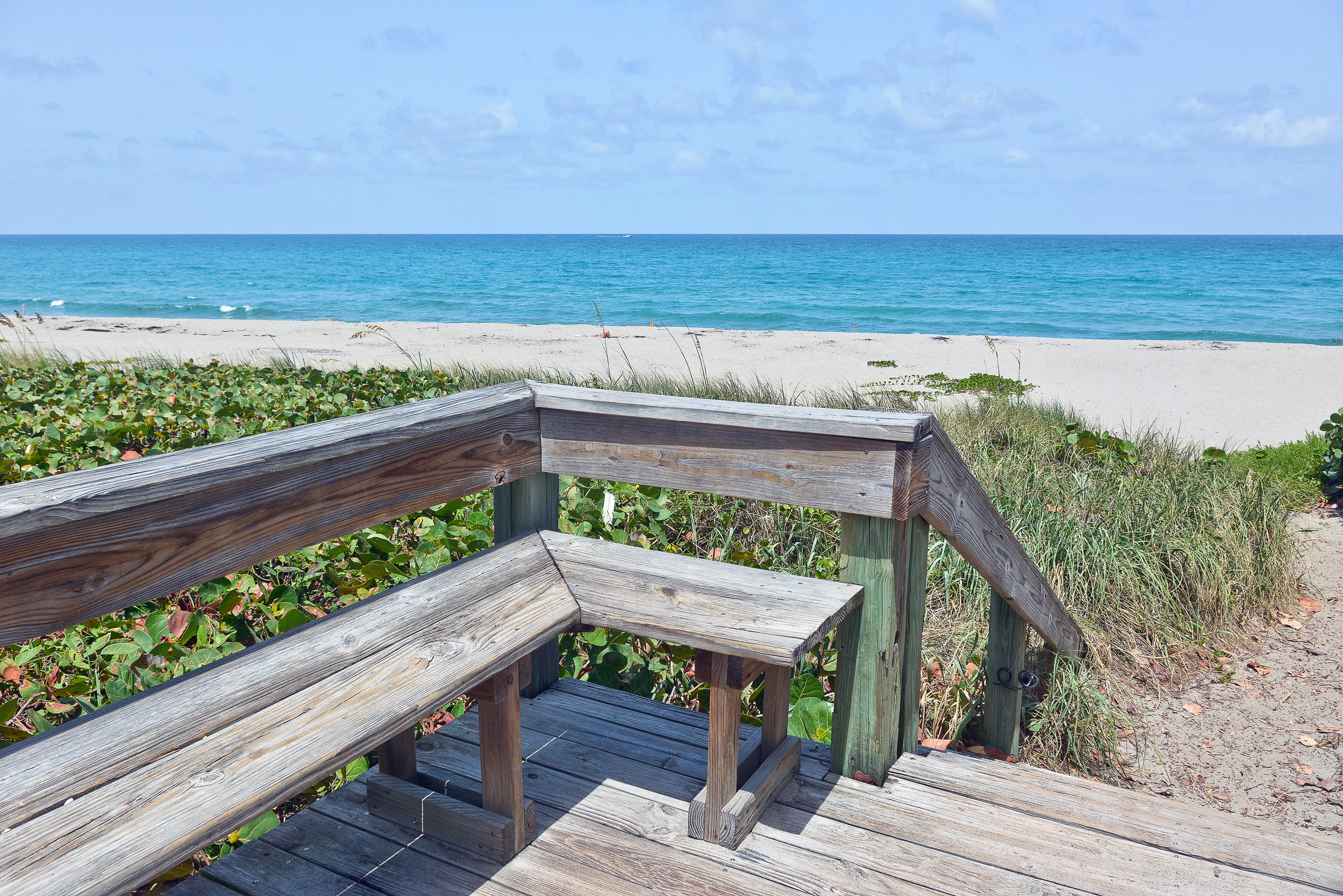 50 Celestial Way 8e Property Photo 47