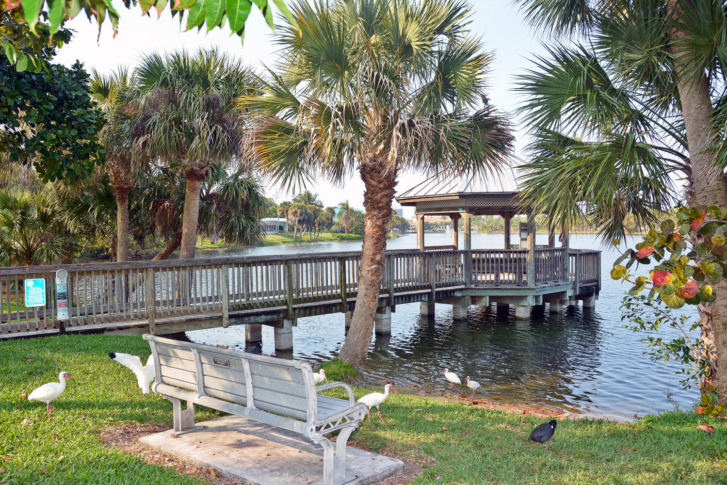 50 Celestial Way 8e Property Photo 51