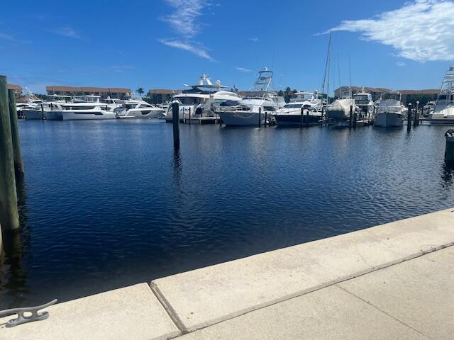 1320 Tidal Pointe Boulevard Property Photo 4