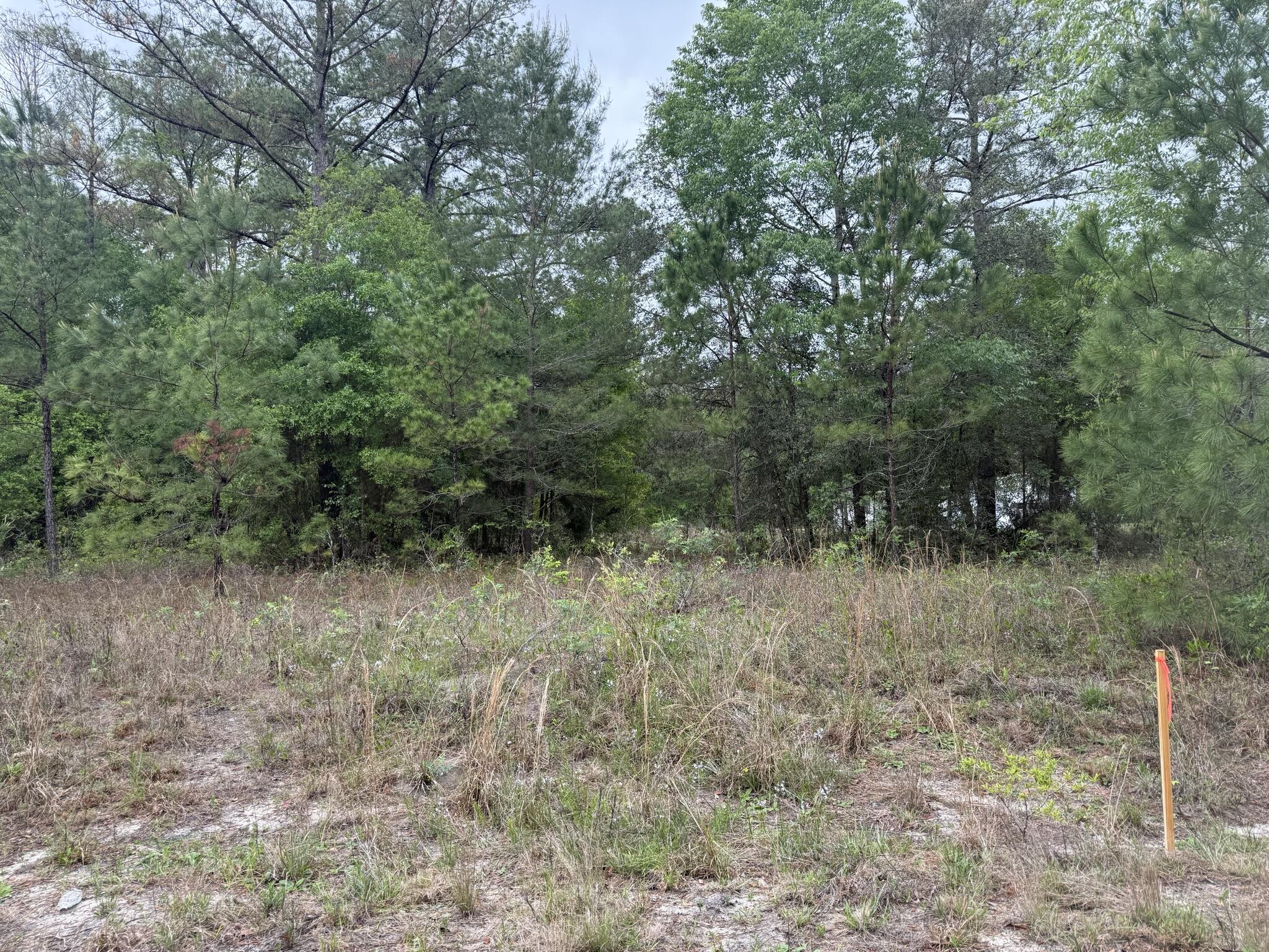 Tbd Maltas Avenue Property Photo 1