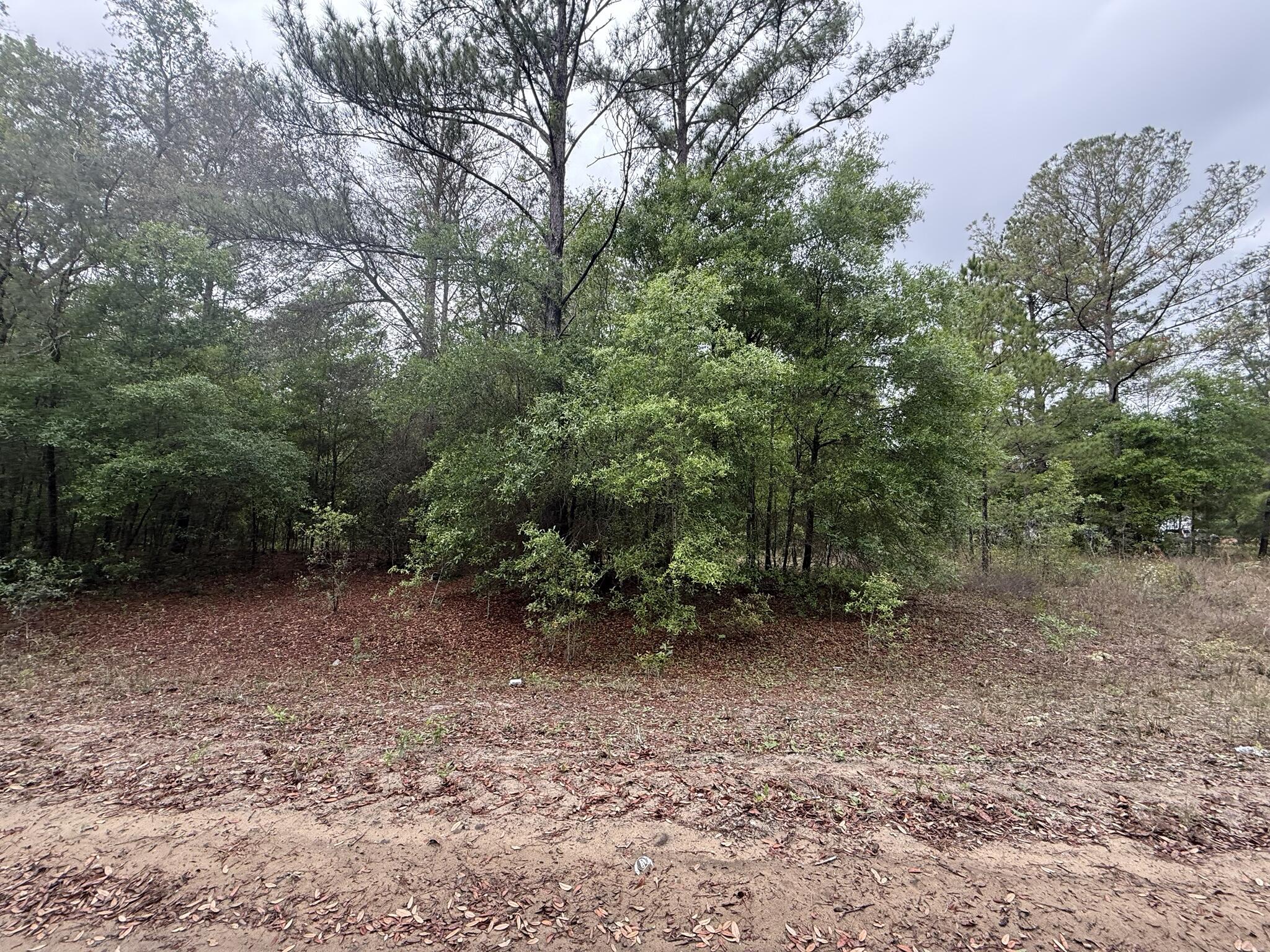 Tbd Maltas Avenue Property Photo 3