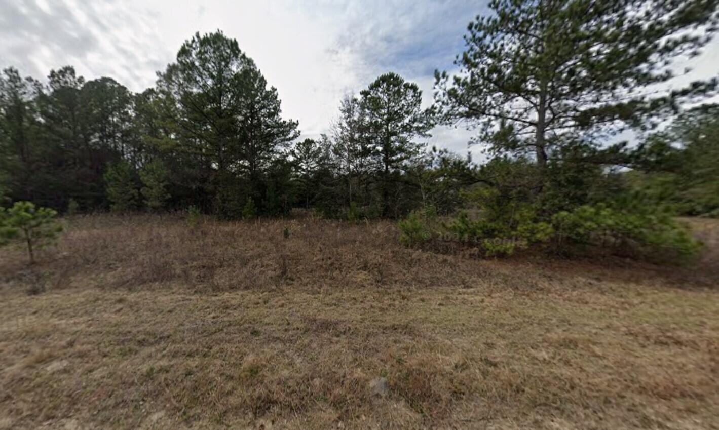 Tbd Maltas Avenue Property Photo 4
