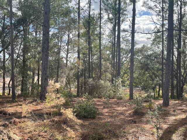 000 Malauka Cir Circle Property Photo 2